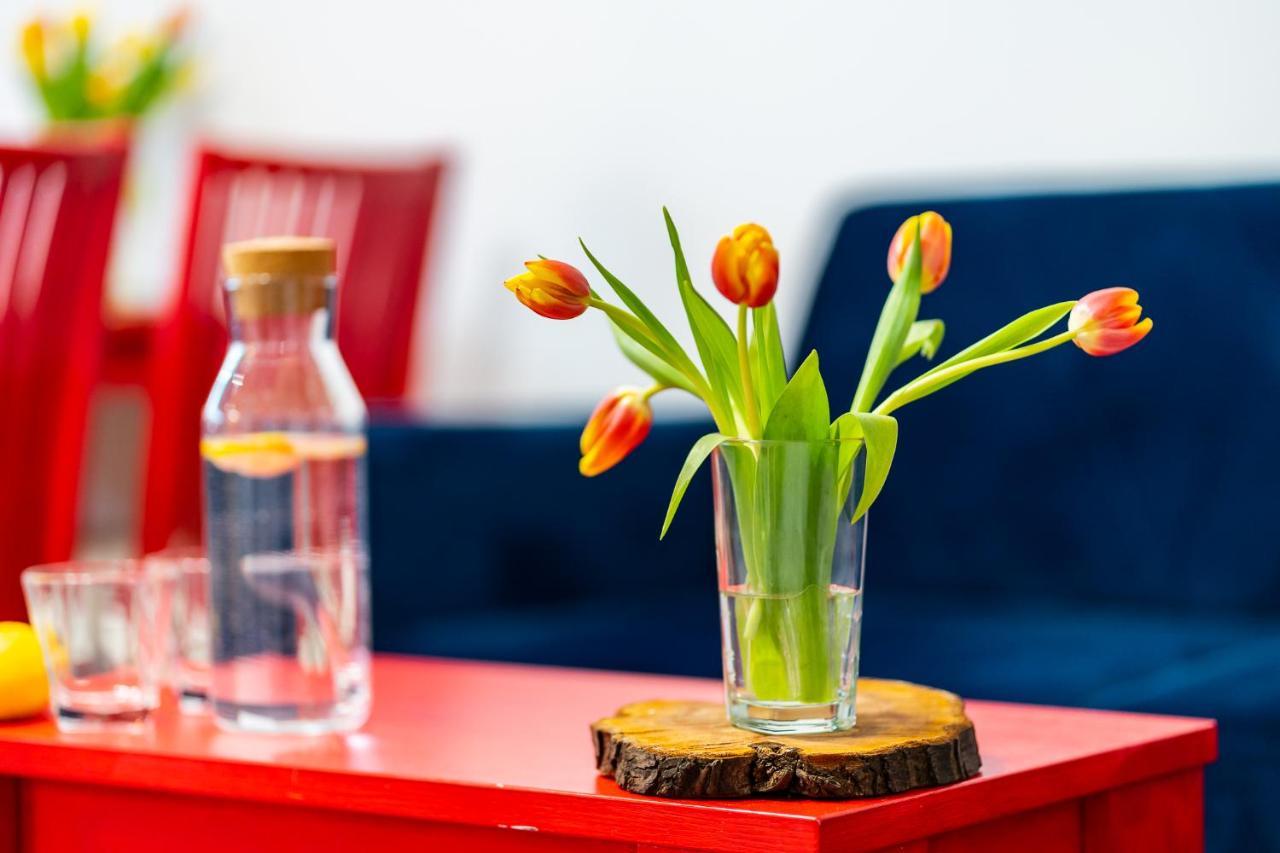 Apartament Poludniowy Ruda Slaska Ngoại thất bức ảnh